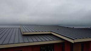 Best Roof Coating and Sealing  in Basehor, KS